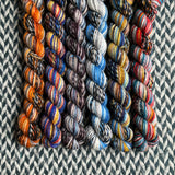 Voyager *6 Mini-Skein Set* -- Wave Hill zebra fingering yarn -- ready to ship
