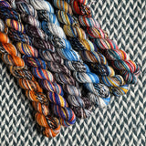 Voyager *6 Mini-Skein Set* -- Wave Hill zebra fingering yarn -- ready to ship