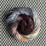 WALKING IN SPACE -- YXC March 2022 -- Wave Hill Full Skein -- ready to ship yarn