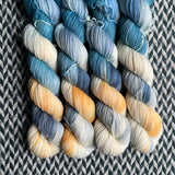 ANTARCTIC SUNSET -- Half-Skein -- Times Square sock yarn -- ready to ship
