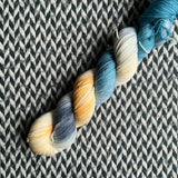 ANTARCTIC SUNSET -- Half-Skein -- Times Square sock yarn -- ready to ship