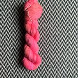 SNAP DRAGONS -- Times Square sock  yarn -- ready to ship