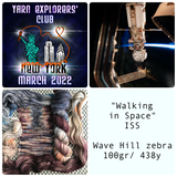 WALKING IN SPACE -- YXC March 2022 -- Wave Hill Full Skein -- ready to ship yarn