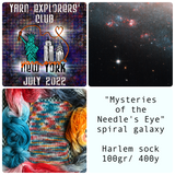 MYSTERIES OF THE NEEDLE'S EYE -- Harlem sock Full Skein -- ready to ship yarn