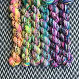 Flocking to Paradise *6 Mini-Skein Set* -- Wave Hill zebra fingering yarn -- ready to ship