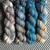 ANTARCTICA FADE *4 Skein Set* -- Wave Hill zebra yarn -- ready to ship