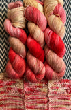 MICHELADA -- Crown Heights alpaca/silk fingering yarn -- ready to ship