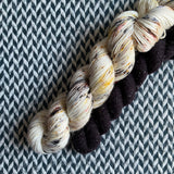 PAWSOME and Espresso * Broadway Sparkle Sock Set * -- full-size skein with mini-skein -- ready to ship yarn
