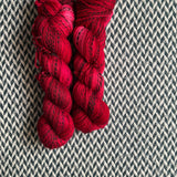 CLAUS-TROPHOBIC -- Wave Hill zebra fingering yarn -- ready to ship