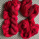 CLAUS-TROPHOBIC -- Wave Hill zebra fingering yarn -- ready to ship