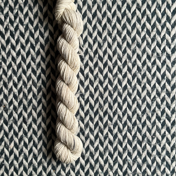 Pawsibilty -- mini-skein -- Times Square sock yarn -- ready to ship