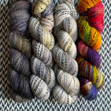 CURIOSITY *4 Skein Set* -- Wave Hill zebra yarn -- ready to ship