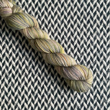 IGUANA -- Half-skein -- Times Square sock yarn -- ready to ship