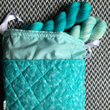 THE TEAL DEAL -- project bag -- ready to ship