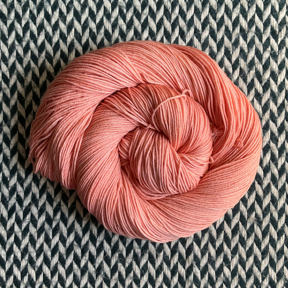 MOLLUSK -- dyed to order -- choose your yarn base