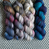 LYRICALLY FADE *4 Skein Set* -- Wave Hill zebra yarn -- ready to ship