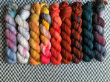 SEASONS COLLECTION *9 Half-Skein Set* -- Times Square sock yarn -- ready to ship