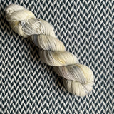 PAWSIBILITY -- Broadway sparkle sock yarn -- ready to ship