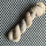 PAWSIBILITY -- Times Square sock yarn -- ready to ship