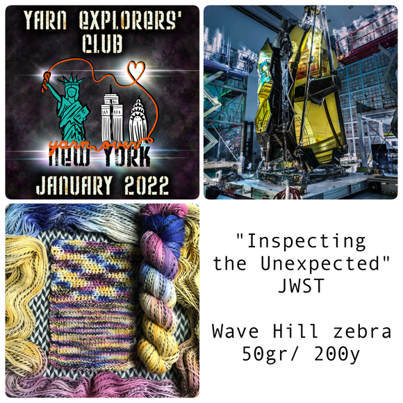 YARN EXPLORERS' CLUB -- January 2022 -- Harlem Sock Half-Skein -- ready to ship yarn