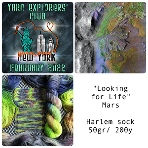 YARN EXPLORERS' CLUB -- February 2022 -- Harlem Sock Half-Skein -- ready to ship yarn