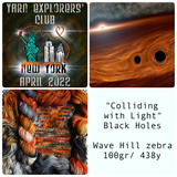 YARN EXPLORERS' CLUB -- April 2022 -- Wave Hill Full Skein -- ready to ship yarn
