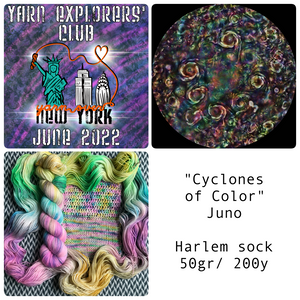 YARN EXPLORERS' CLUB -- June 2022 -- Harlem Sock Half-Skein -- ready to ship yarn