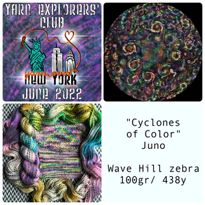 YARN EXPLORERS' CLUB -- June 2022 -- Wave Hill Full Skein -- ready to ship yarn