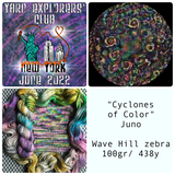 CYCLONES OF COLOR -- YXC June 2022 -- Wave Hill Full Skein -- ready to ship yarn