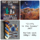 YARN EXPLORERS' CLUB -- Aug 2022 -- Harlem sock Full Skein -- ready to ship yarn