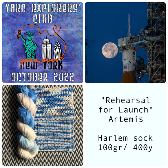 YARN EXPLORERS' CLUB -- Oct 2022 -- Harlem sock Full Skein -- ready to ship yarn