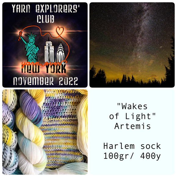 YARN EXPLORERS' CLUB -- Nov 2022 -- Harlem sock Full Skein -- ready to ship yarn