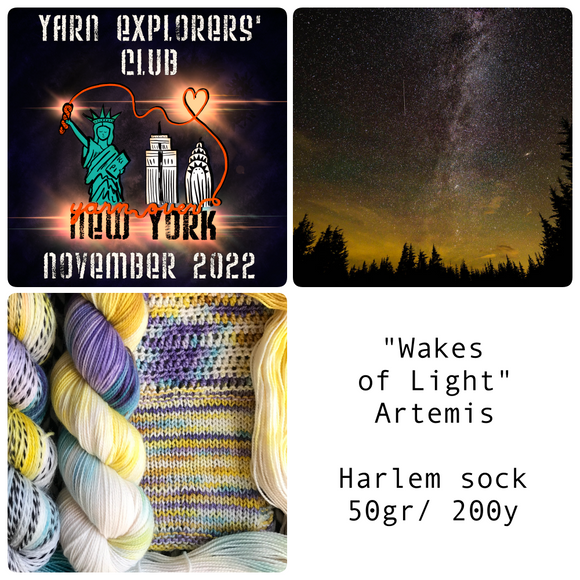 YARN EXPLORERS' CLUB -- Nov 2022 -- Harlem Sock Half-Skein -- ready to ship yarn