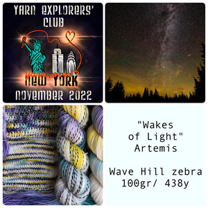YARN EXPLORERS' CLUB -- Nov 2022 -- Wave Hill Full Skein -- ready to ship yarn