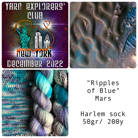 YARN EXPLORERS' CLUB -- Dec 2022 -- Harlem Sock Half-Skein -- ready to ship yarn