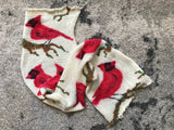 CARDINALS -- hand-painted sock blank -- dyed to order yarn